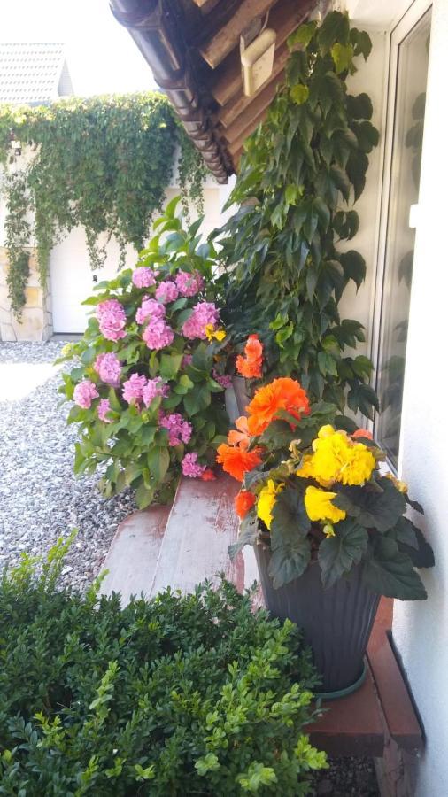Morska Bryza Apartamento Darlowo Exterior foto